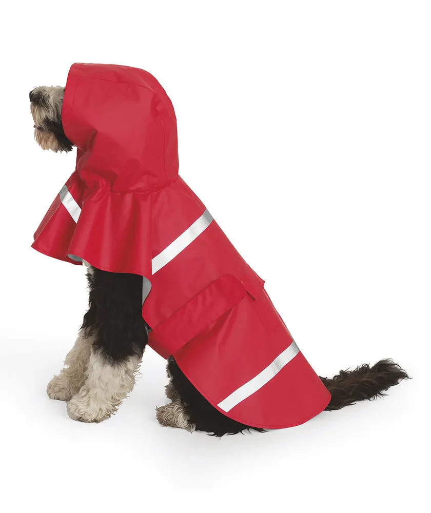 CR Dog New Englander
