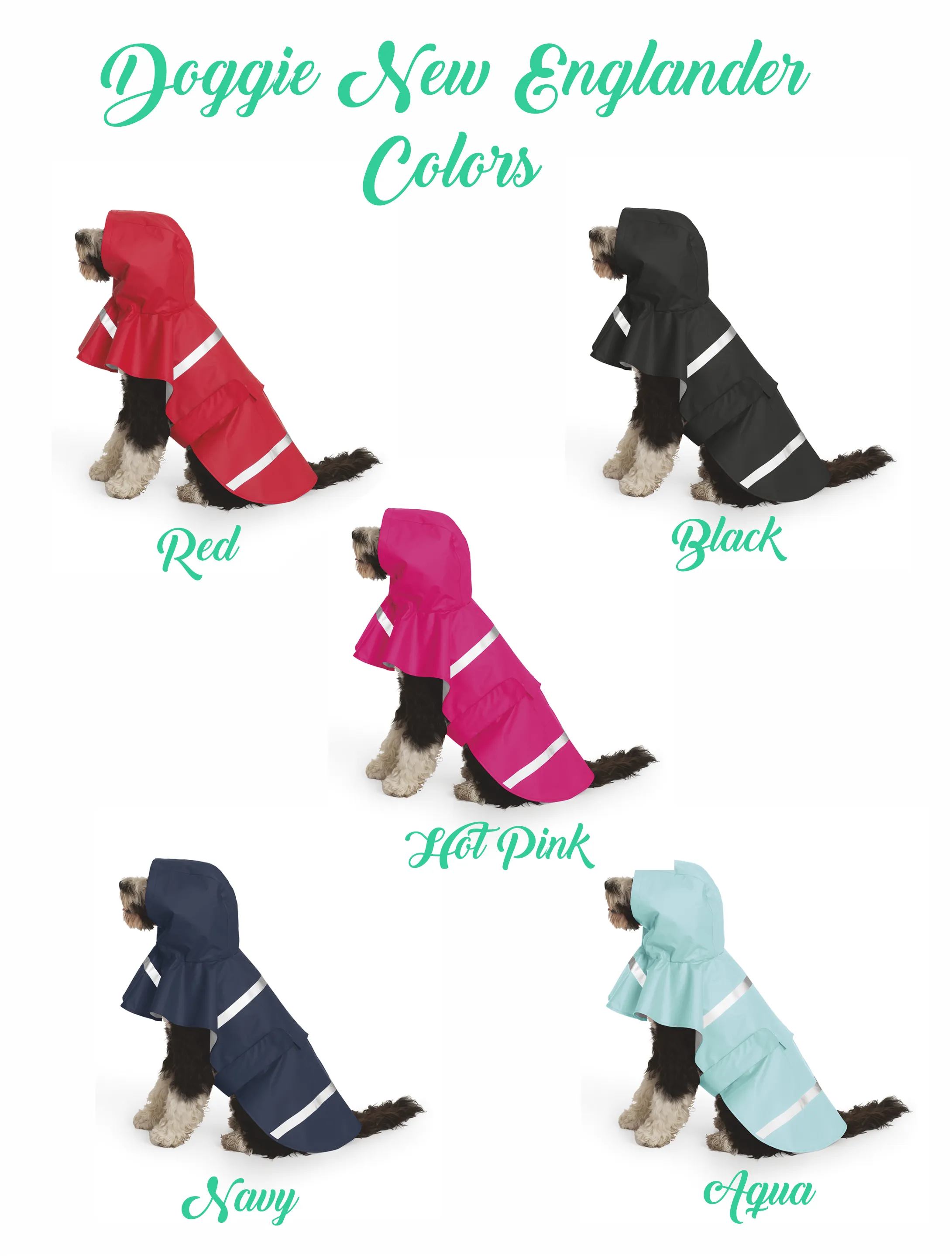 CR Dog New Englander