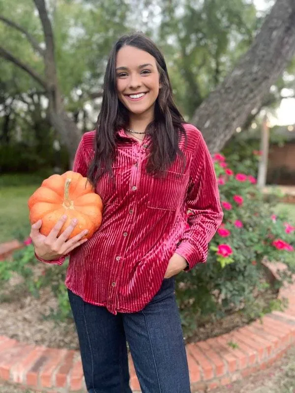 Velvet Long Sleeve Top